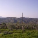 Terreno agricolo in vendita a Ascea