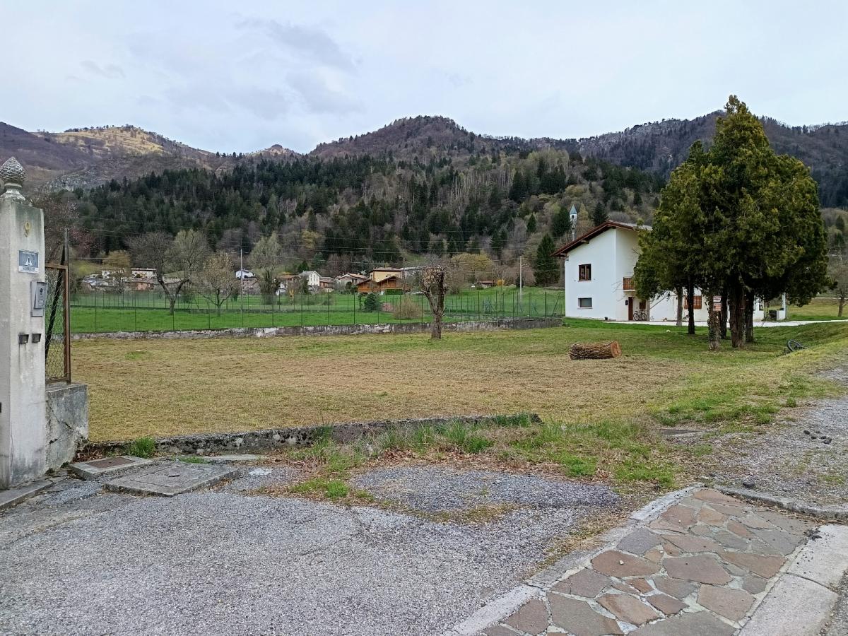 immagine annuncio 1 di 2