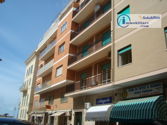 Appartamento quadrilocale in affitto a anzio - Appartamento quadrilocale in affitto a anzio