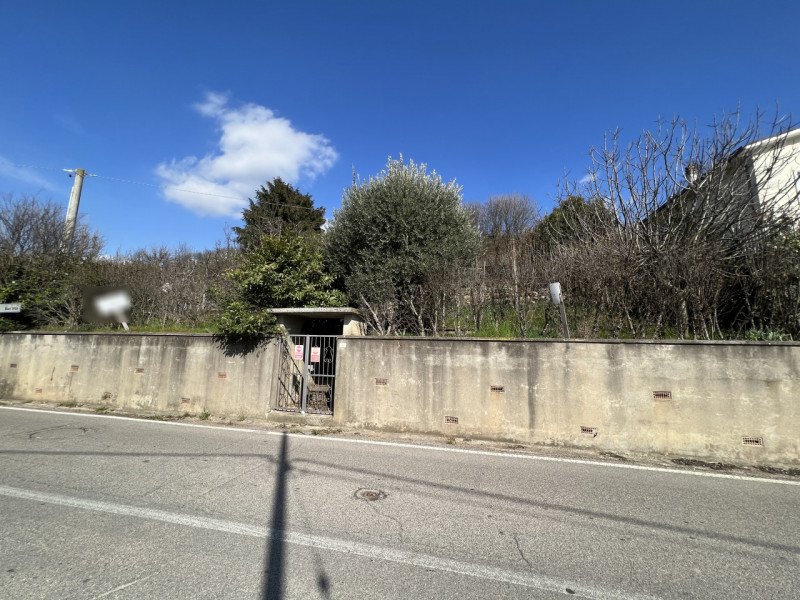 immagine annuncio 2 di 4