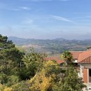 Rustico / casale plurilocale in vendita a Mombello Monferrato