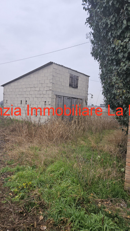 immagine annuncio 2 di 4