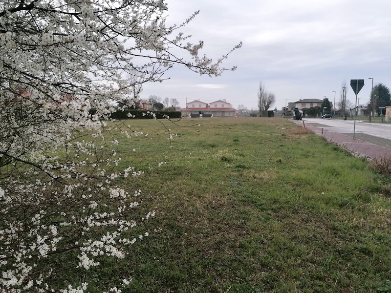 immagine annuncio 1 di 3