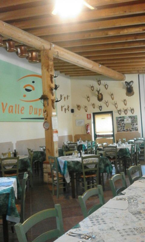 immagine annuncio 4 di 5