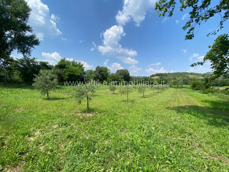 Terreno residenziale in vendita a baone - Terreno residenziale in vendita a baone