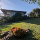 Villa plurilocale in vendita a cornedo-vicentino