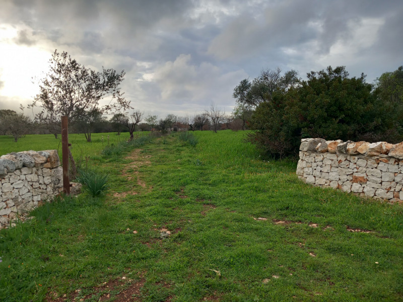 Terreno residenziale in vendita a carovigno - Terreno residenziale in vendita a carovigno