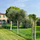 Casa quadrilocale in vendita a arqua-petrarca