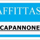 Capannone in affitto a venezia