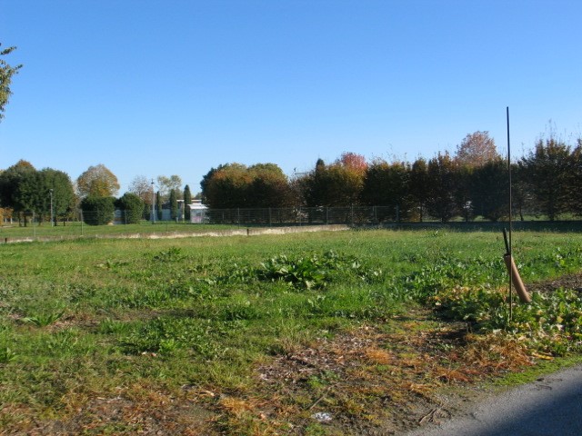 immagine annuncio 1 di 3