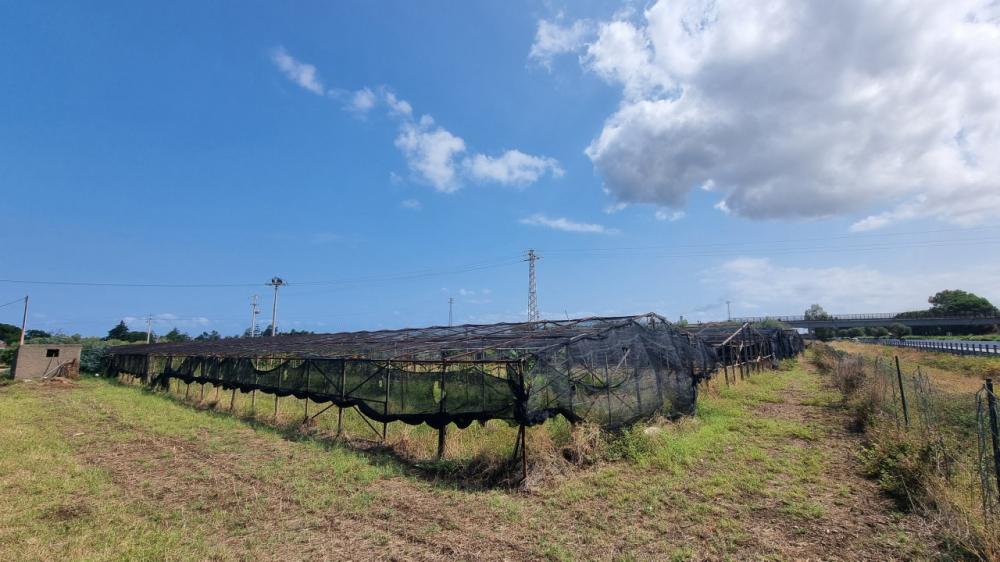 Terreno agricolo in vendita a milazzo - Terreno agricolo in vendita a milazzo