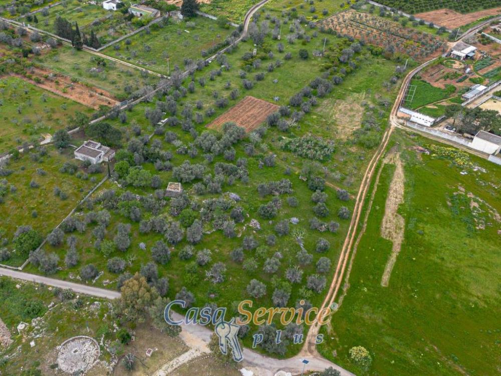 26dcb4dfab443c057de463921dadebfa - Rustico / casale monolocale in vendita a Alezio