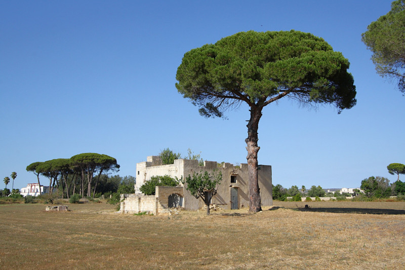 immagine annuncio 4 di 5
