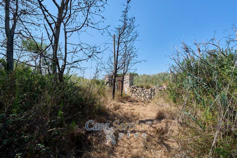 Rustico / casale trilocale in vendita a gallipoli - Rustico / casale trilocale in vendita a gallipoli