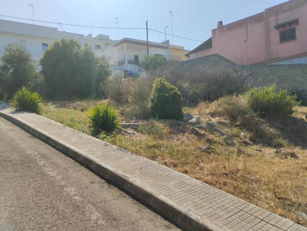 immagine annuncio 1 di 4