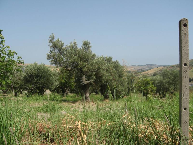 immagine annuncio 1 di 4