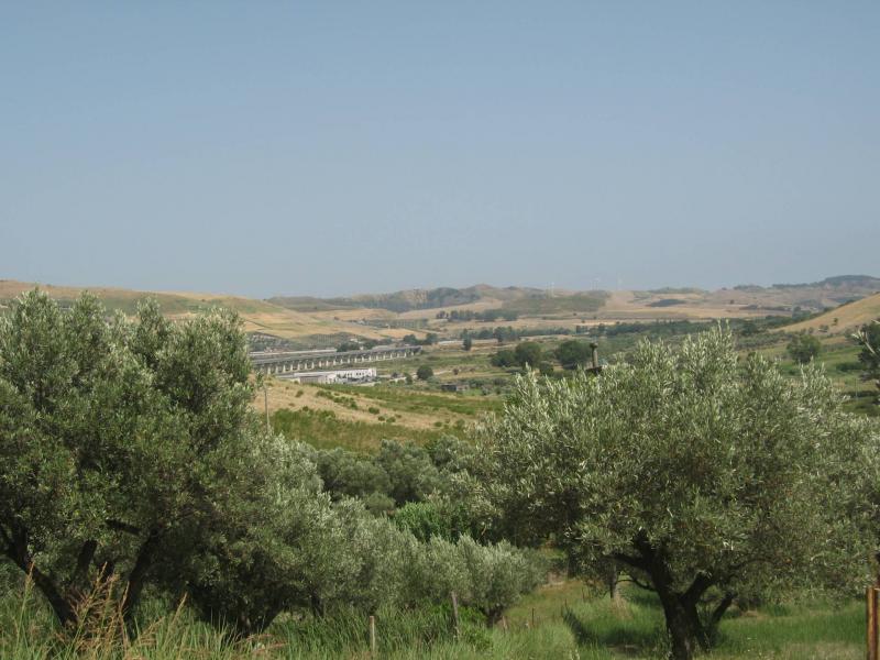 immagine annuncio 2 di 4
