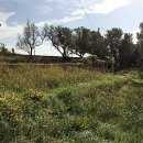 Terreno residenziale in vendita a Catanzaro