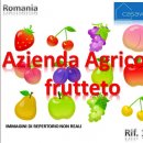 Azienda agricola plurilocale in vendita a