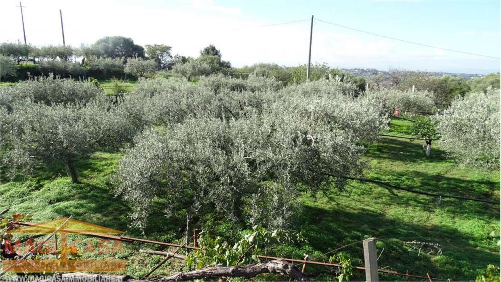 terreno agricolo in vendita a Camporotondo Etneo