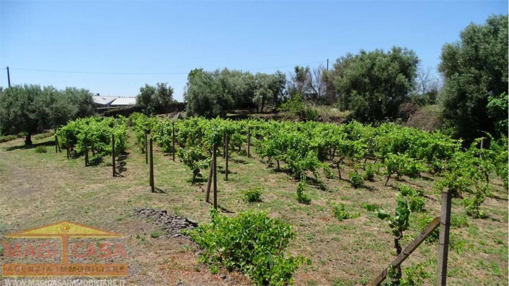 Terreno residenziale in vendita a belpasso - Terreno residenziale in vendita a belpasso