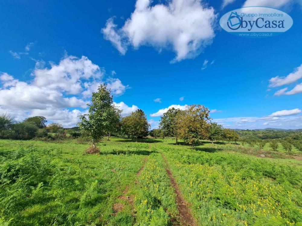 Terreno agricolo in vendita a Oriolo Romano - Terreno agricolo in vendita a Oriolo Romano