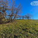 Terreno agricolo in vendita a Bassano Romano