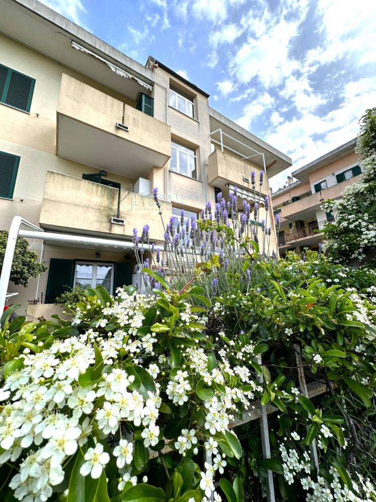Appartamento bilocale in vendita a Albenga - Appartamento bilocale in vendita a Albenga