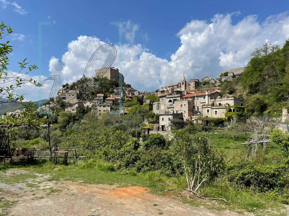 rustico / casale in vendita a Castelvecchio di Rocca Barbena