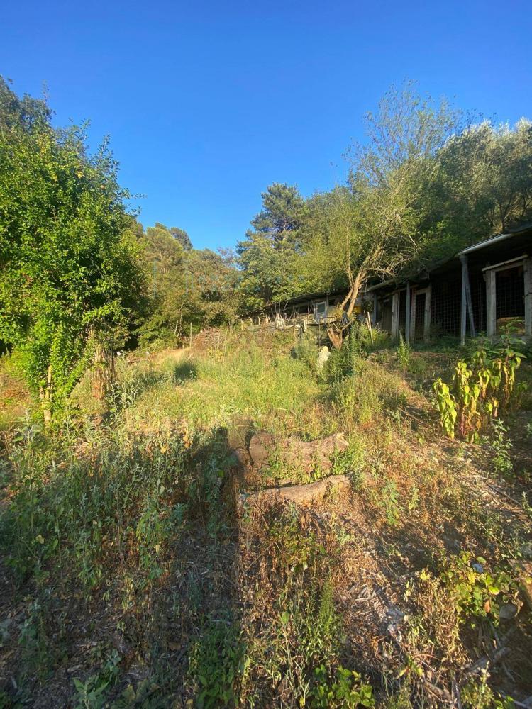 Terreno agricolo in vendita a Albenga - Terreno agricolo in vendita a Albenga