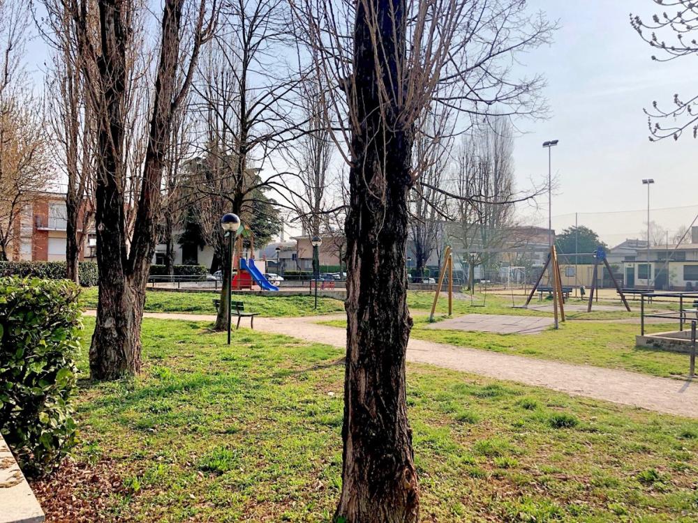 immagine annuncio 3 di 5