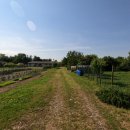 Terreno residenziale in vendita a romans-d-isonzo