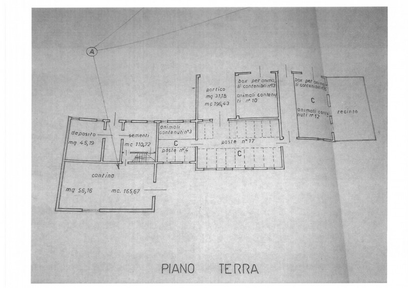 immagine annuncio 2 di 4