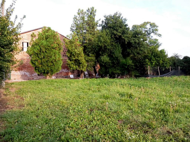 immagine annuncio 1 di 4