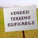 Terreno residenziale in vendita a megliadino-san-vitale