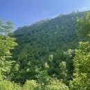 Terreno agricolo in vendita a Serravalle di Chienti