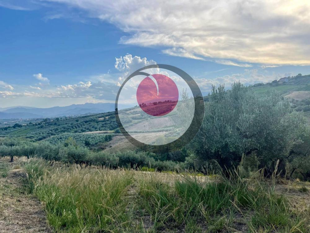 Terreno agricolo in vendita a Lanciano - Terreno agricolo in vendita a Lanciano