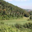 Terreno agricolo monolocale in vendita a traversetolo