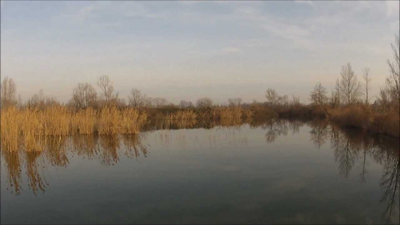 immagine annuncio 1 di 2