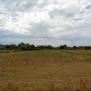 Terreno agricolo in vendita a Carlino