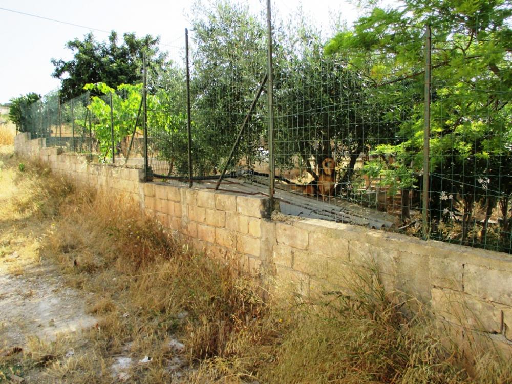 immagine annuncio 2 di 4