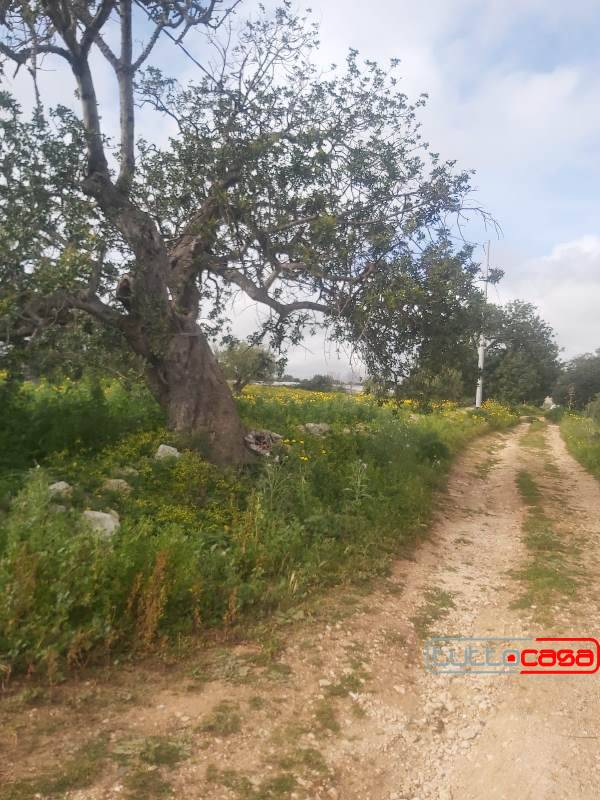 Terreno agricolo in vendita a Scicli - Terreno agricolo in vendita a Scicli