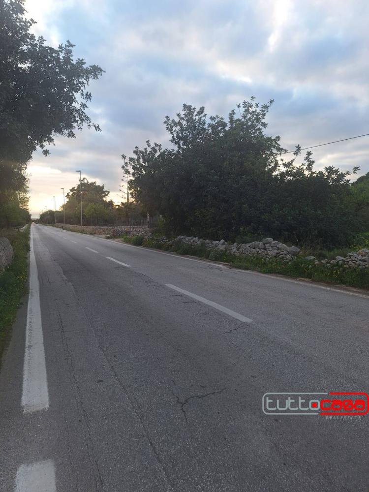 immagine annuncio 2 di 4