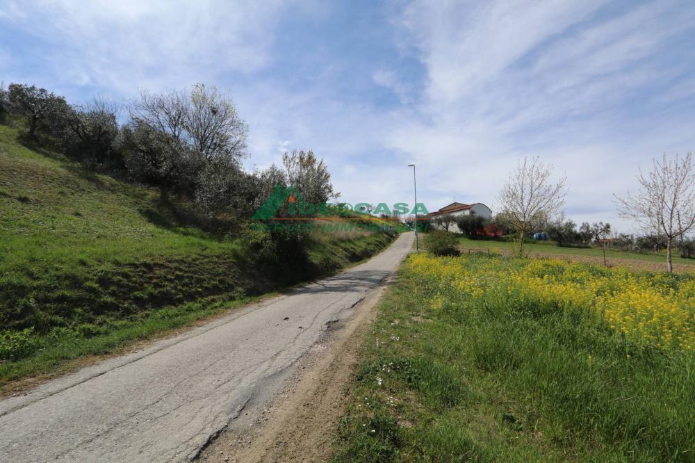immagine annuncio 3 di 4
