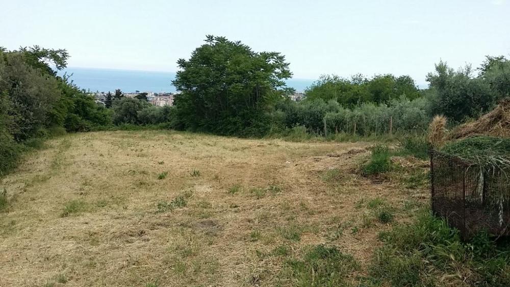 immagine annuncio 1 di 2