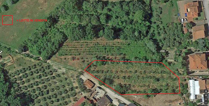 terreno residenziale in vendita a Torrita di Siena