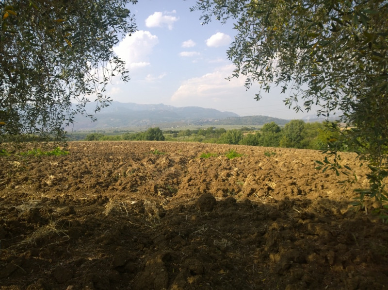 immagine annuncio 2 di 3