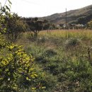 Terreno agricolo in vendita a Porto Sant'Elpidio