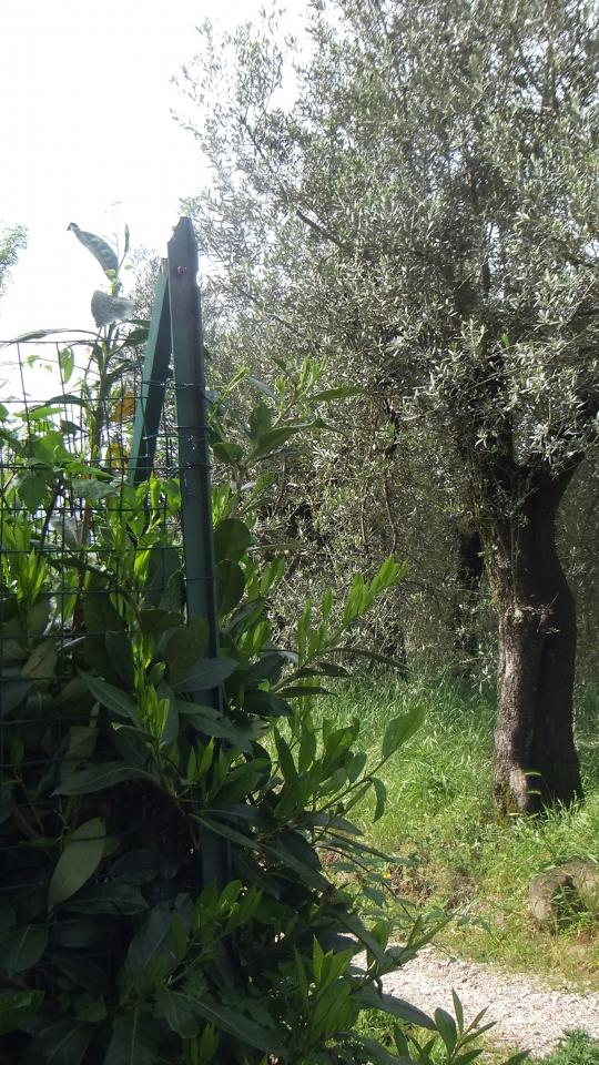 immagine annuncio 3 di 4