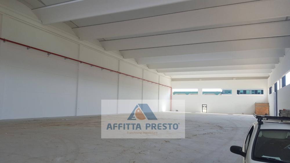 Capannone industriale in affitto a Montelupo Fiorentino - Capannone industriale in affitto a Montelupo Fiorentino